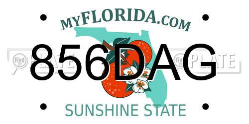 856DAG Florida License Plate