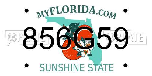 856G59 Florida License Plate