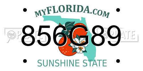 856G89 Florida License Plate