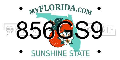 856GS9 Florida License Plate