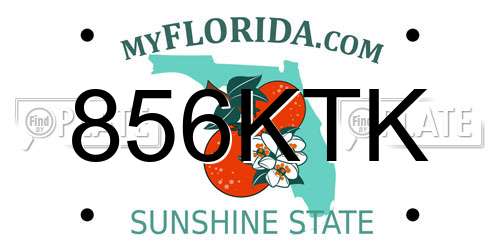856KTK Florida License Plate