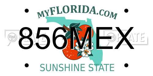 856MEX Florida License Plate