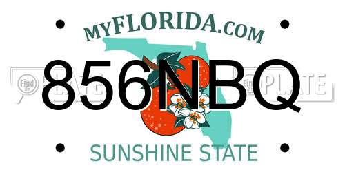 856NBQ Florida License Plate