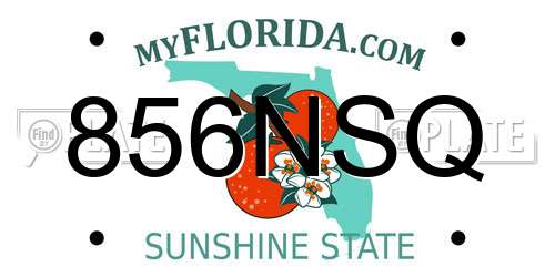 856NSQ Florida License Plate