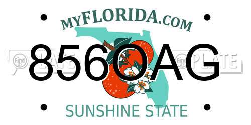 856OAG Florida License Plate