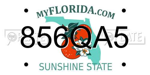 856QA5 Florida License Plate