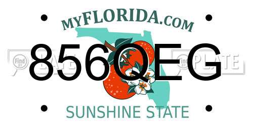 856QEG Florida License Plate