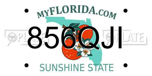 856QJI Florida License Plate