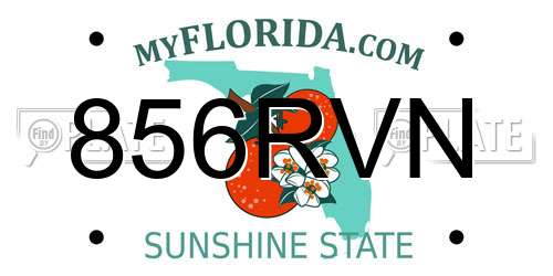 856RVN Florida License Plate