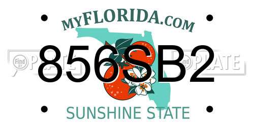856SB2 Florida License Plate