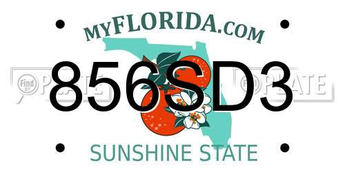 856SD3 Florida License Plate