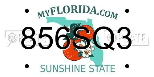 856SQ3 Florida License Plate