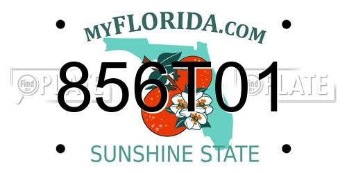 856T01 Florida License Plate