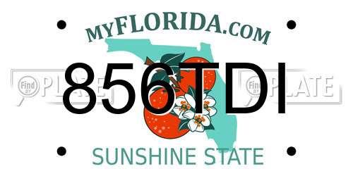 856TDI Florida License Plate
