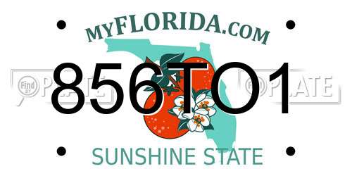 856TO1 Florida License Plate