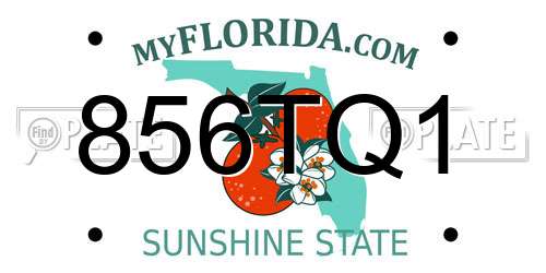 856TQ1 Florida License Plate