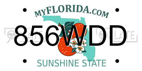 856WDD Florida License Plate