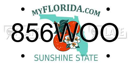 856WOO Florida License Plate