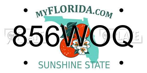 856WOQ Florida License Plate