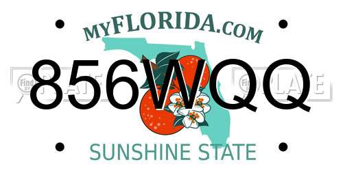 856WQQ Florida License Plate