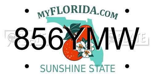 856YMW Florida License Plate