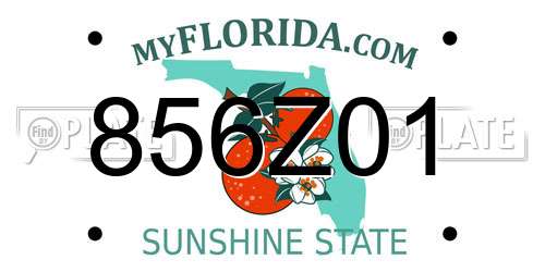 856Z01 Florida License Plate
