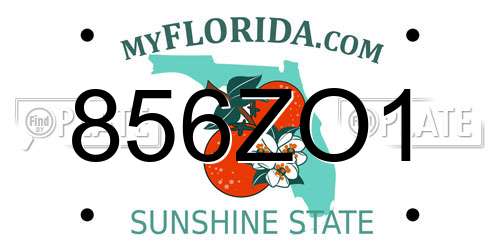 856ZO1 Florida License Plate