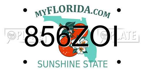 856ZOI Florida License Plate