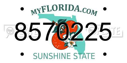 8570225 Florida License Plate