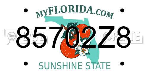85702Z8 Florida License Plate
