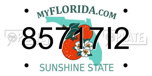 85717I2 Florida License Plate