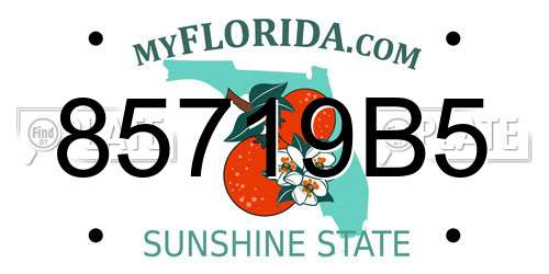 85719B5 Florida License Plate