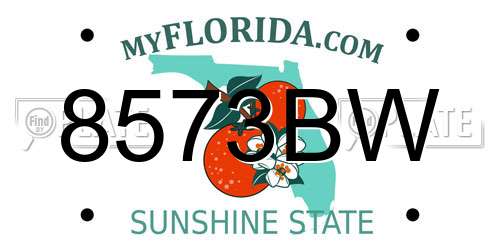 8573BW Florida License Plate