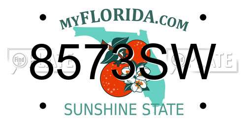8573SW Florida License Plate
