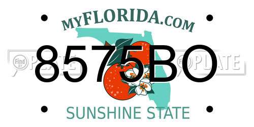8575BO Florida License Plate