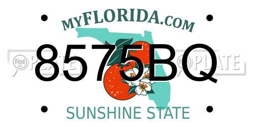 8575BQ Florida License Plate
