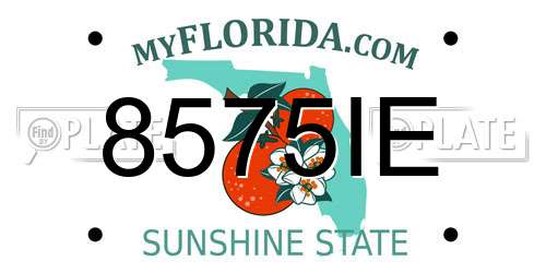 8575IE Florida License Plate