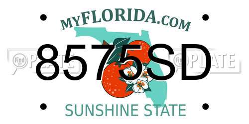 8575SD Florida License Plate