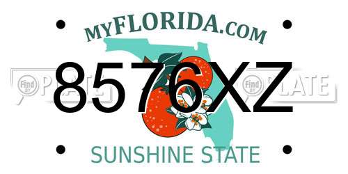 8576XZ Florida License Plate