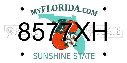 8577XH Florida License Plate