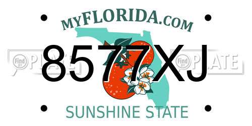 8577XJ Florida License Plate
