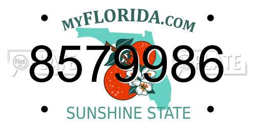 8579986 Florida License Plate