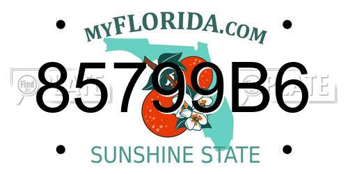85799B6 Florida License Plate