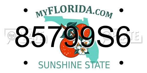 85799S6 Florida License Plate