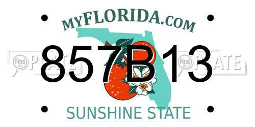 857B13 Florida License Plate