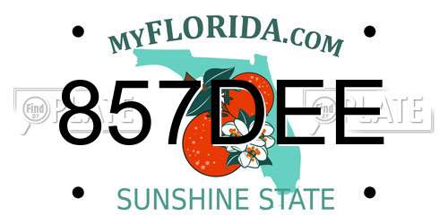 857DEE Florida License Plate