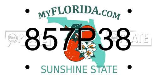 857P38 Florida License Plate