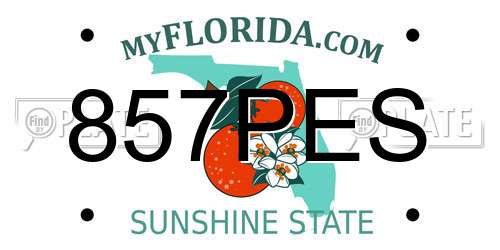 857PES Florida License Plate