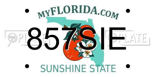857SIE Florida License Plate