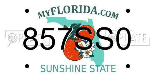 857SS0 Florida License Plate